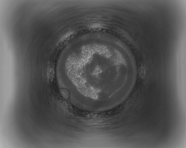 X0000103900821200809261547