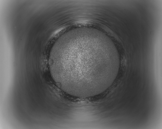 X0000103900822200809261547