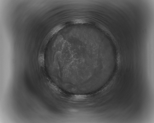 X0000103900825200809261547