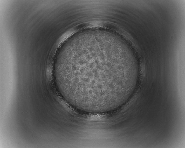 X0000103900826200809261548