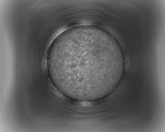 X0000103900827200809261548