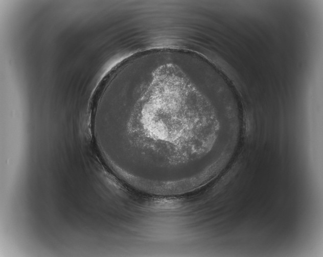 X0000103900830200809261548