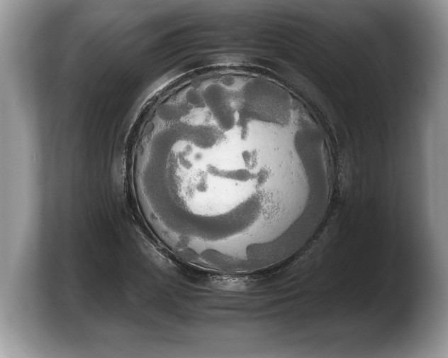 X0000103900831200809261548