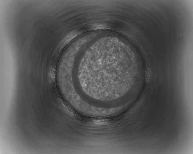 X0000103900833200809261548