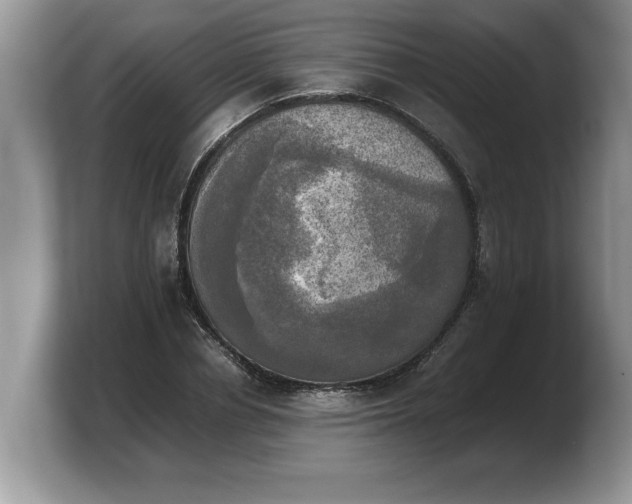 X0000103900834200809261548
