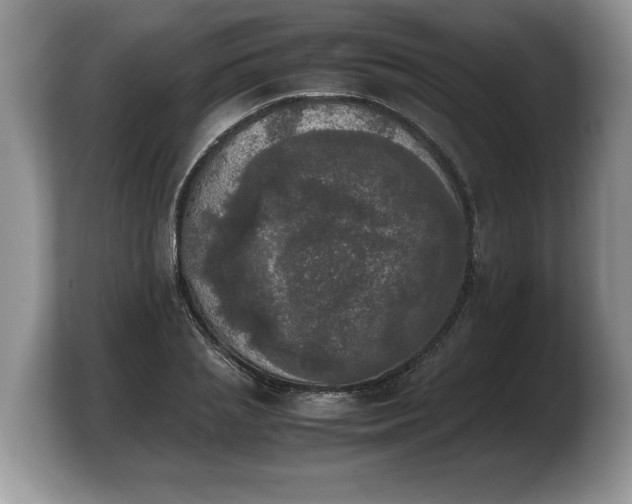 X0000103900837200809261548
