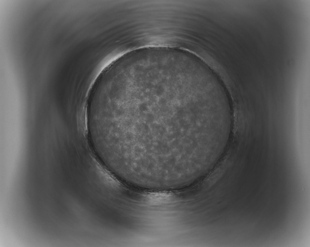 X0000103900838200809261548