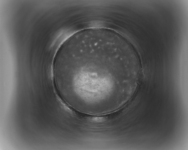 X0000103900839200809261548