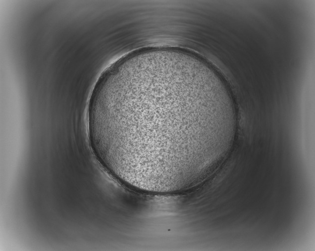 X0000103900840200809261548