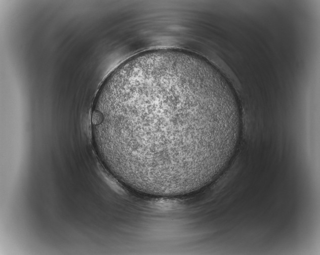 X0000103900842200809261548