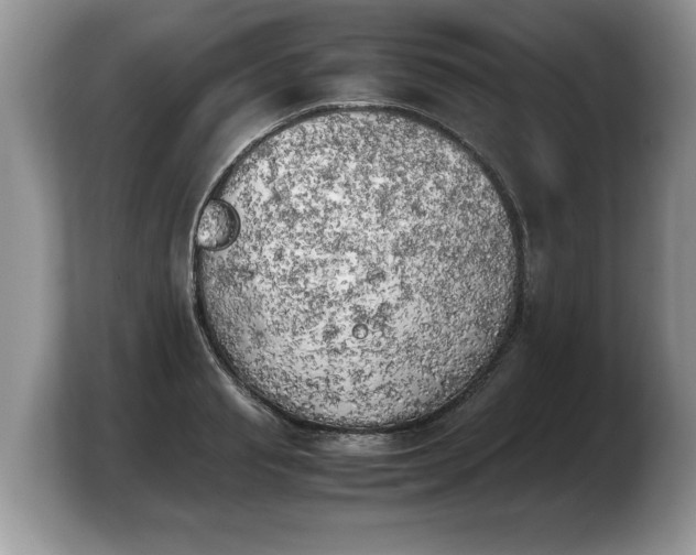 X0000103900845200809261548