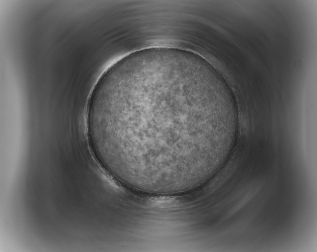 X0000103900846200809261548