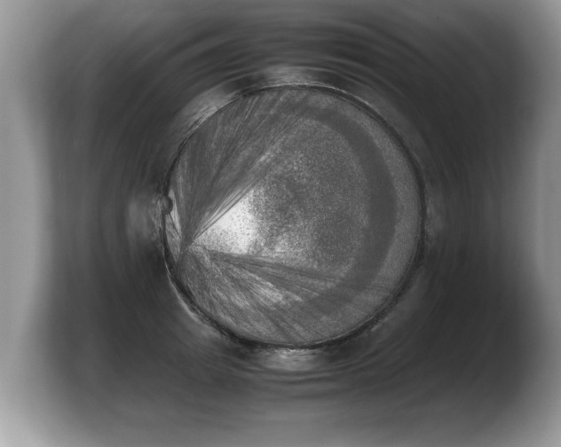 X0000103900849200809261548