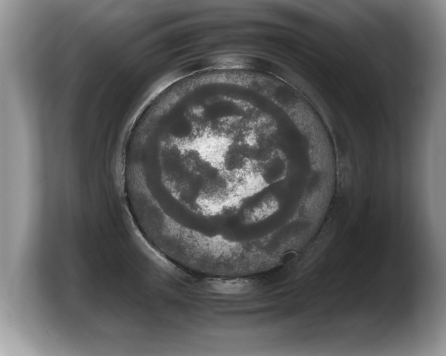 X0000103900851200809261548