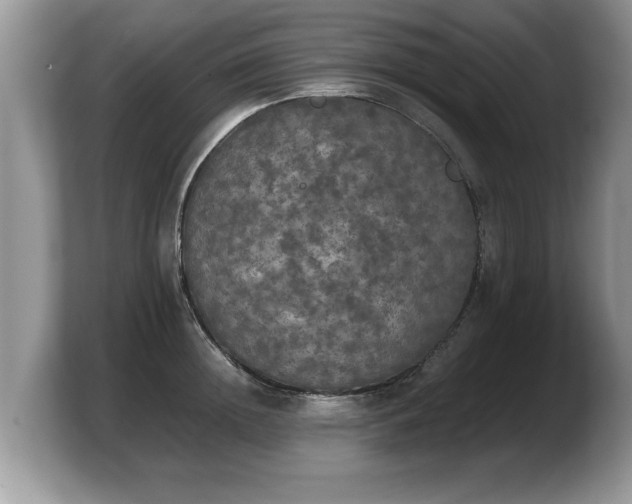 X0000103900852200809261548