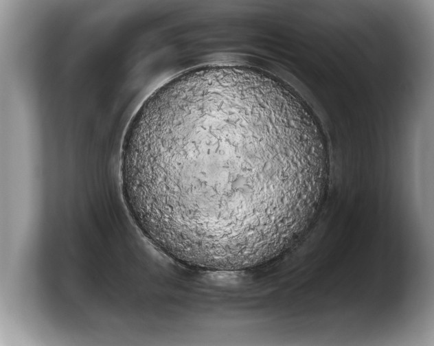 X0000103900853200809261548