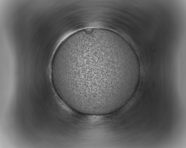 X0000103900854200809261548