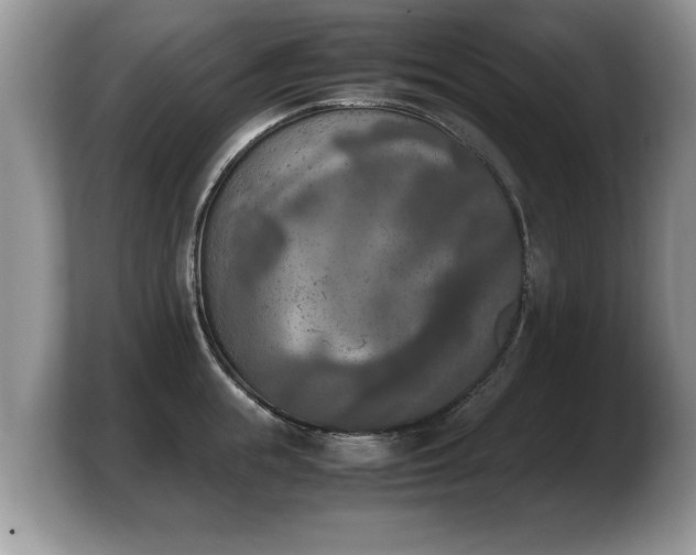 X0000103900855200809261548