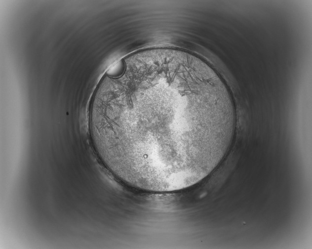 X0000103900858200809261548