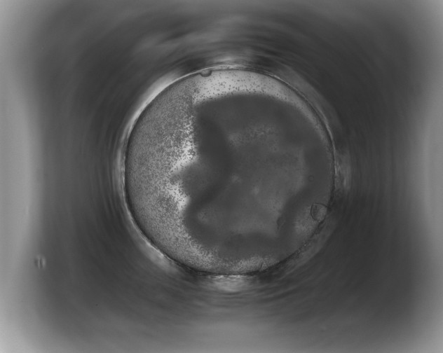X0000103900859200809261548