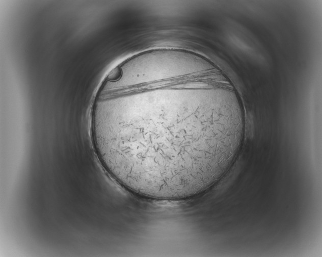 X0000103900862200809261548