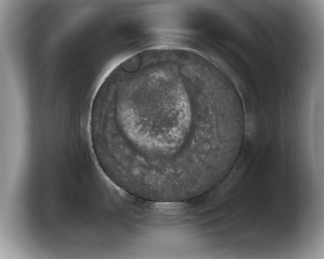 X0000103900863200809261548