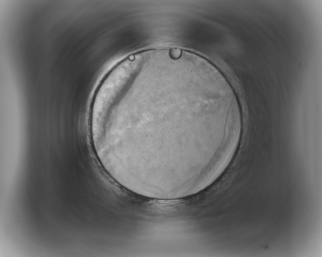 X0000103900864200809261548