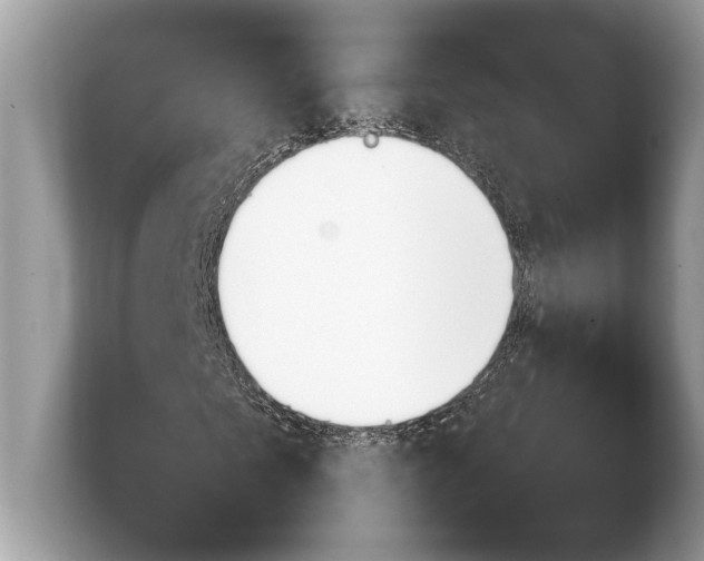 X0000103900865200809261547