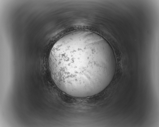 X0000103900870200809261547