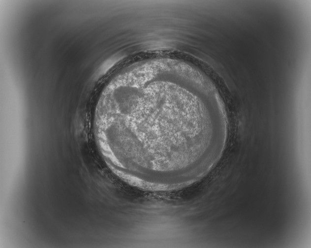 X0000103900871200809261547