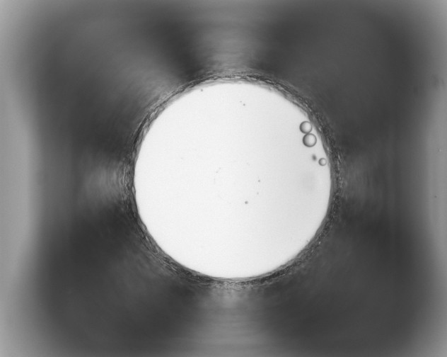 X0000103900873200809261547