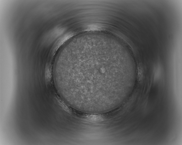 X0000103900874200809261547