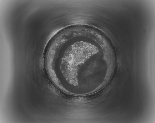 X0000103900879200809261547