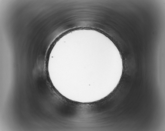 X0000103900880200809261547