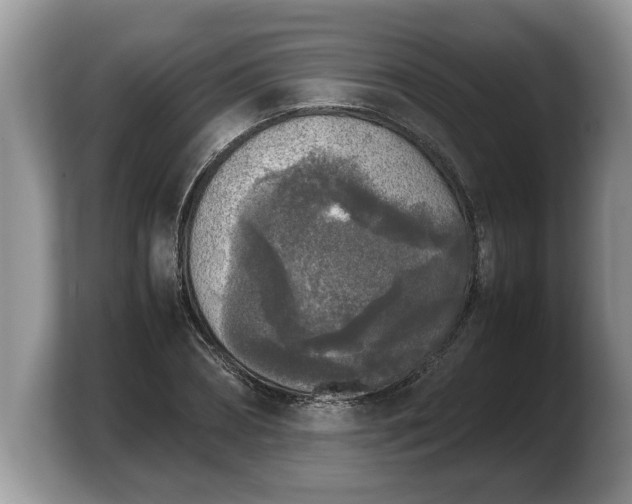 X0000103900882200809261547