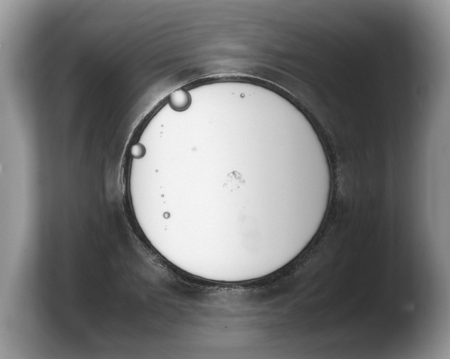 X0000103900885200809261547