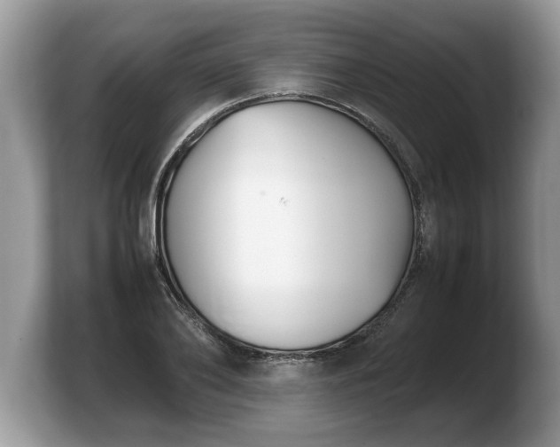 X0000103900886200809261547