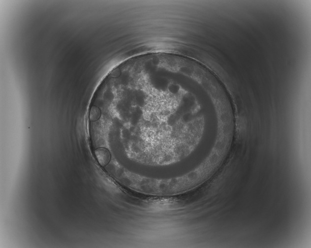 X0000103900891200809261547