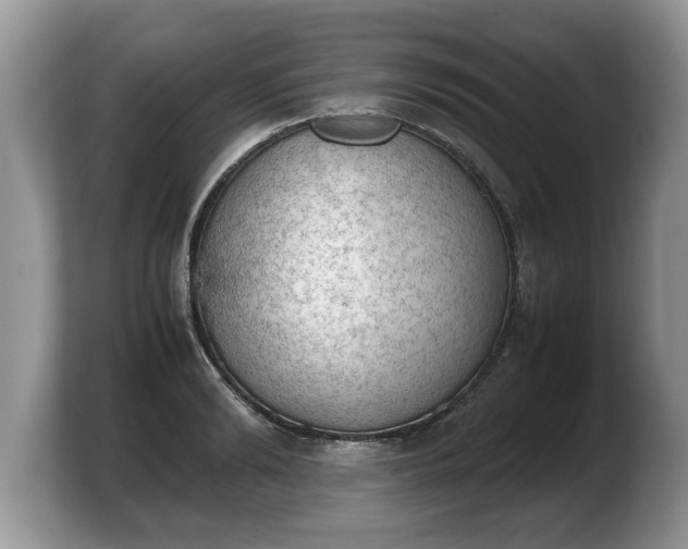 X0000103900894200809261547