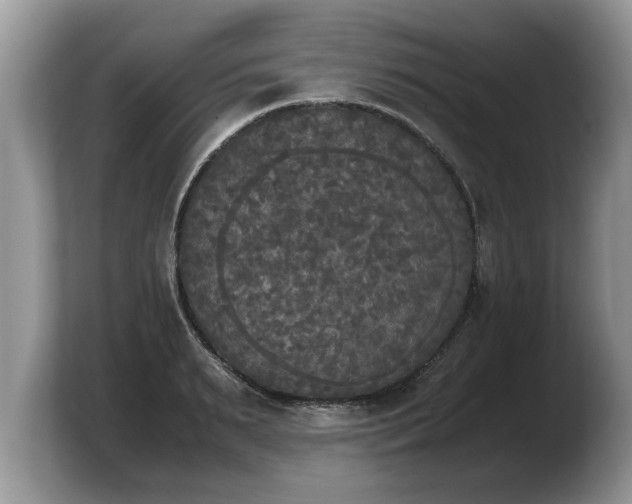 X0000103900895200809261547