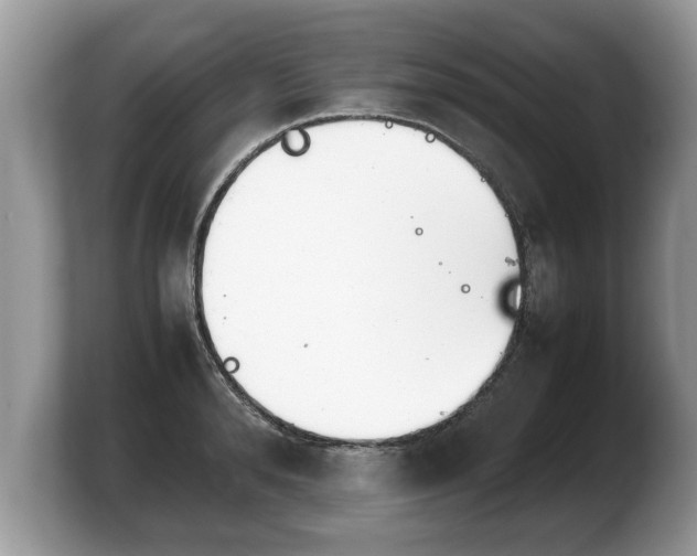 X0000103900896200809261547