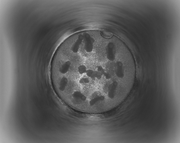 X0000103900899200809261547