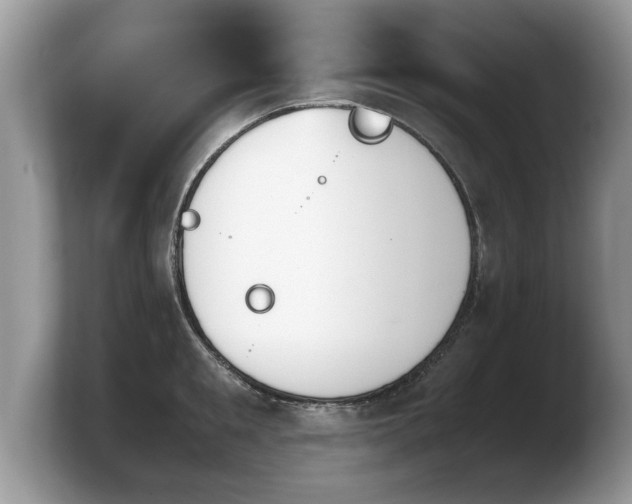 X0000103900901200809261547