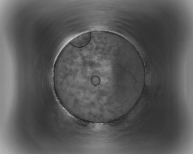 X0000103900903200809261547