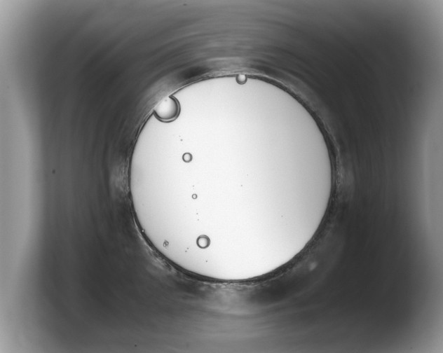 X0000103900905200809261547
