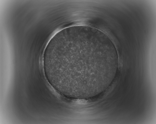 X0000103900907200809261547