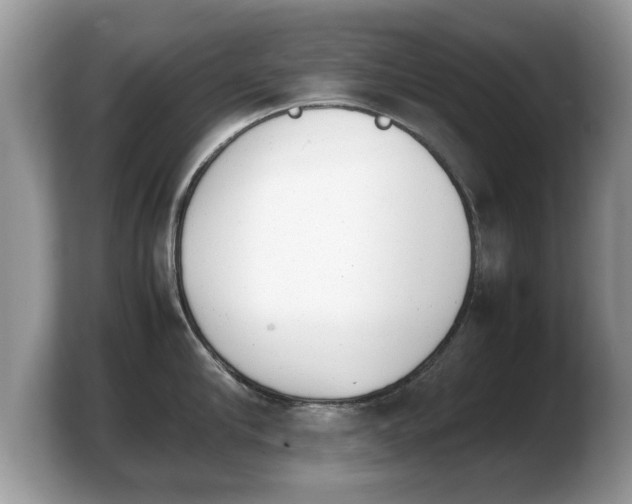 X0000103900910200809261547
