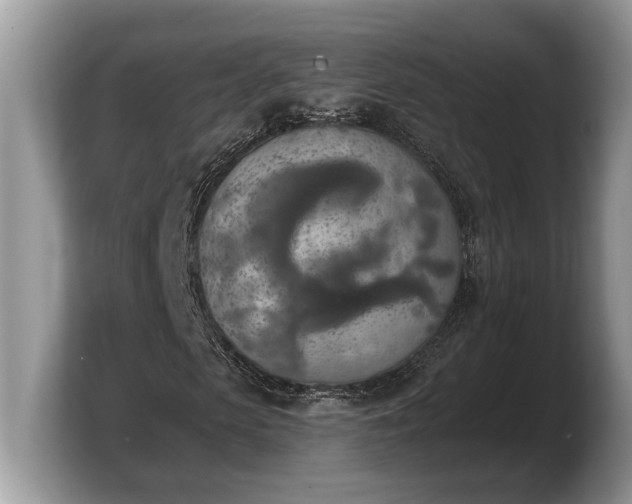 X0000103900913200809261546