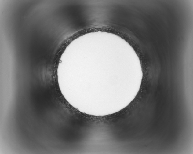 X0000103900920200809261546