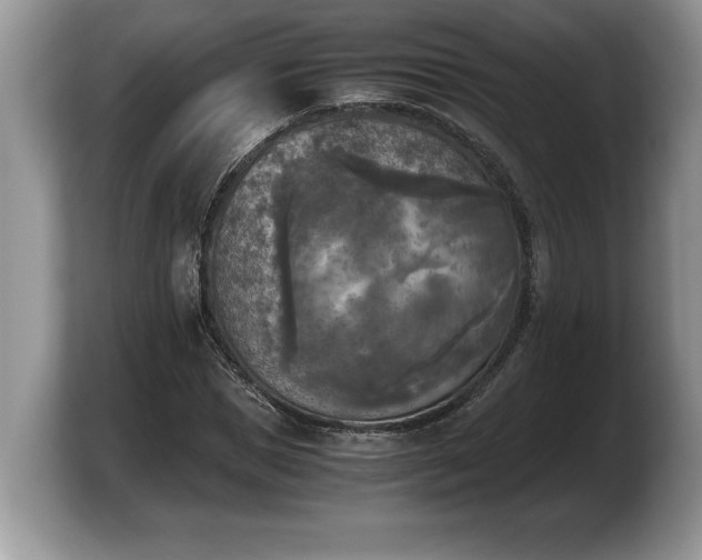 X0000103900921200809261546